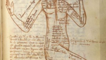 El cuerpo para san Agustín I: en los “diálogos filosóficos” del 386